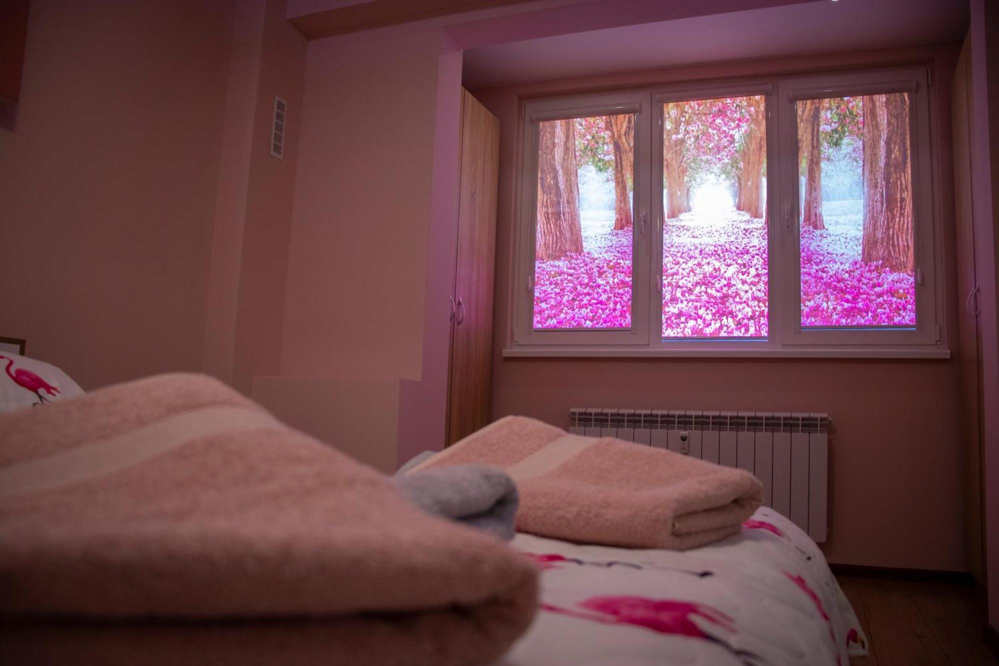 Newly Renovated 2 Bedroom In